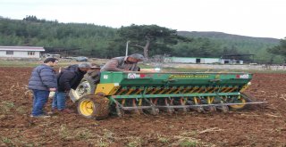 Önder Çiftçilerden ‘Hitit Buğdayına Destek