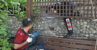 Kurtardığı Kedi Tarafından Isırıldı