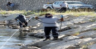 Vanda Sivrisinekle Mücadele