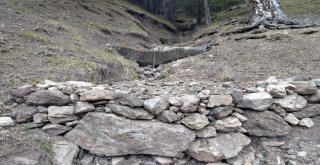 Kargıda Erozyon Ve Sel Kontrol Çalışması