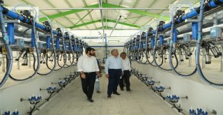 İlçelere Ekonomik Destek İçin Örnek Proje