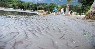 Denizde Ürküten Su Çekilmesi