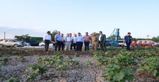 Vali Ünlü, Pamuk Tarlasında İncelemelerde Bulundu