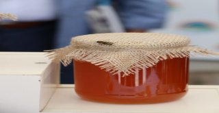 Ardahanda Bal Festivali Coşkusu