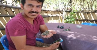 Varto İtfaiyesi Kuş Yavrusu İçin Seferber Oldu