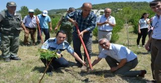 Selendide 15 Temmuz Şehitleri Hatıra Ormanı Oluşturuldu