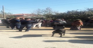 Bozuk Yolları İçin Yol Kapatma Eylemi Yaptılar