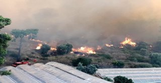 Vali Karaloğlu: Orman Yangınıyla İlgili Her Türlü Soruşturma Titizlikle Yürütülüyor