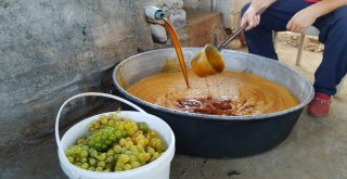 Hassada Pekmez Sezonu Başladı