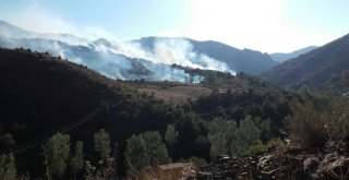 Gümüşhanede Örtü Yangını