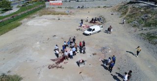 Kaçak Alanlarda Kurban Kesimi Havadan Görüntülendi