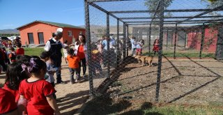 Bingölde Yüzlerce Öğrenci Barınağı Gezdi, Hayvanları Besledi