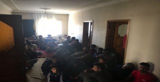 Vanda 202 Kaçak Göçmen Yakalandı