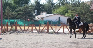 (Özel) Gaziler Ata Bindi, Stres Attı