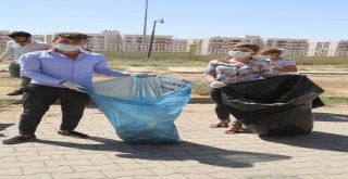 Silopililer Çöp Toplayarak, Çevre Temizliğine Dikkat Çekti