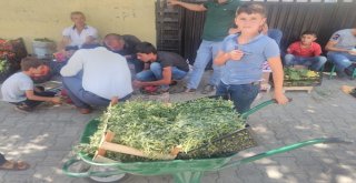 İncir Ve Semiz Otu Satarak Ailelerinin Geçimine Katkı Sağlıyorlar