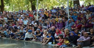 Manisanın En Güzel Kavun Ve Karpuzları Seçildi