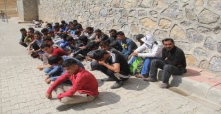 Başkalede  40 Kaçak Göçmen Yakalandı