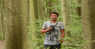 (Özel Haber) Karacabey Longozunda 270.tür Böyle Kaydedildi