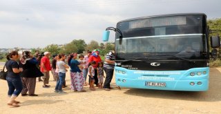 Aksuda Ulaşım Dört Dörtlük