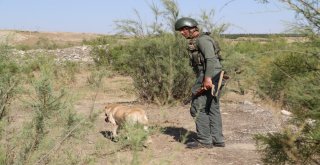 Kayıp Yusufu Arama Çalışmaları 10. Gününde