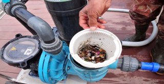 Mamakta Hijyenik Havuzlar