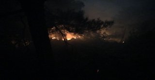 Hataydaki Orman Yangını 37 Saatte Söndürüldü