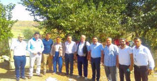 Ak Parti Bağlar İlçe Teşkilatından Köylere Çıkarma