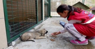 Hayvan Barınağı Konuklarını Ağırladı