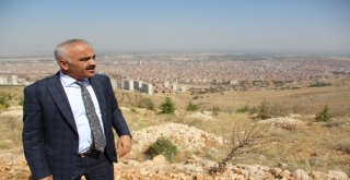 Beydağı Ağaçlandırma Sahasında Başarı Yüzde 90