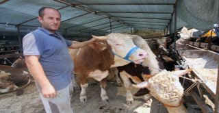 Bayraklı Belediyesi Kurban Bayramına Hazır