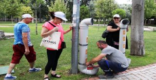 Bucanın Can Dostlarına Yepyeni Mama Kapları