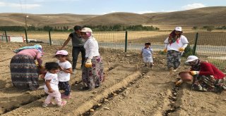 Otlukbelide Süs Bitkileri Eğitimi Verildi