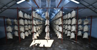 Büyükşehirden Kirazlı Kadınlara Bir Destek Daha