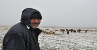 (Özel) Karsta Kar Ve Tipiye Yakalanan Çobanlar Zor Anlar Yaşadı