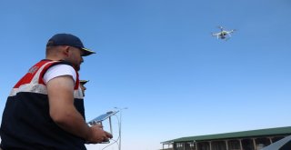 Jandarmadan Tatlı Denetim