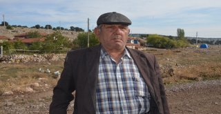 Ormana Çevrilen Meralar Hayvan Üreticisini Vurdu