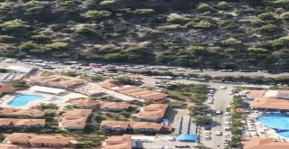 Plaja Ulaşmak İçinçin Kilometrelerce Uürüdüler