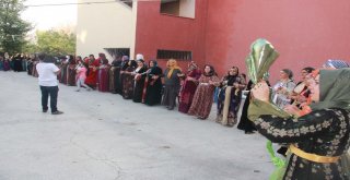 Aşiret Düğününden Cumhurbaşkanı Erdoğana Tam Destek