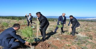 “Yeşil Dönüşüm Ormanları Projesi”Nin İlk Durağı Çanakkale Oldu