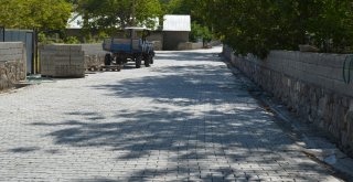 Adilcevazda Kilitli Parke Çalışması