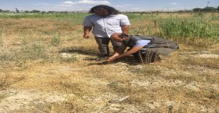 Tedavileri Tamamlanan Kuşlar Yaşam Alanlarına Bırakıldı