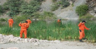 Evrimi, Kadavra Köpeği Mavi Mezarlıkta Aradı