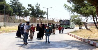 44 Bin Suriyeli Türkiyeye Döndü