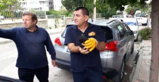 Minik Yaramazı İtfaiye Kurtardı