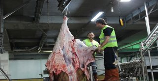 Monoray Sistem İle 4 Dakikada Kurban Kesimi