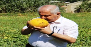 Sıhke Kavunu Koruma Altına Alındı