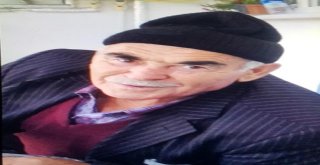 Ormanda Kaybolmuştu, Şehirde Görüldü