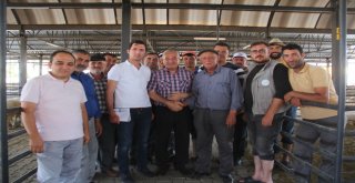 Başkan Karayol Hayvan Pazarını Ziyaret Etti