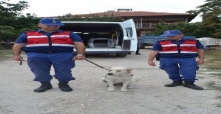 Burdur, 59 Yaşındaki Kayıp Kadını Arıyor